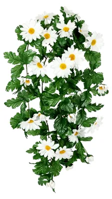 Produktbild von Margeritenhänger Girlande Pflanze Hängend Kunstblume Gänseblümchen Weiß 50x25x20 cm