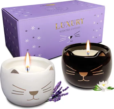 Productafbeelding van Kattenkaarsen, Set van 2 Geurkaarsen Geschenken, Geurkaarsen voor Home Decoration