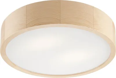 Obrázek produktu pro LED stropní svítidlo Pine 2 Flame Round 38 cm E27 Socket stropní svítidlo svítidlo
