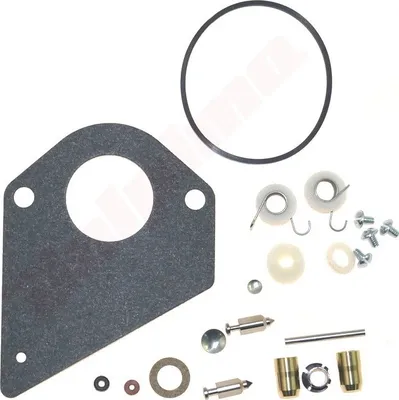 Obrázek produktu pro Reparatursatz Für Vergaser Briggs & Stratton ( 494880 , 497535 , 499220 )