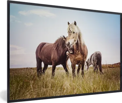 Produktbild von MuchoWow® MuchoWow® Gerahmtes Poster Pferde - Gras - Frühling 60x40 cm - Poster mit zchwarzem Bilderrahmen - Printing - Wanddeko Schlafzimmer
