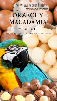 Immagine prodotto di Cibo per pappagalli Premium | Noci di Macadamia nel guscio | Trattamenti sani per tutti i pappagalli 100G