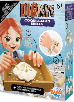 Immagine prodotto di Grabset – Scopriamo e impariamo qualcosa sulle conchiglie
