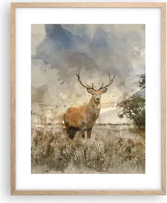 Produktbild von Gerahmtes Poster - Rahmen in heller Eiche - rotwild natur - 40x50 cm - Wand Bild - Wanddeko - Wandbilder - Kunstposter - Wandposter - Bilderrahmen - Bilder - Kunstdruck - Wandbild - P2NPA40x50-3465