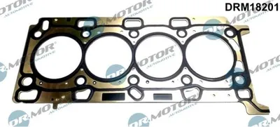 Obrázek produktu pro Těsnění Hlavy Renault Megane 2.0Dci 05-