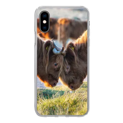 Produktbild von MuchoWow® Handyhülle Schutzhülle Hülle für iPhone X Schottische Highlander - Tiere - Sonne Silikon Softcase Handy Hülle - Handyhülle