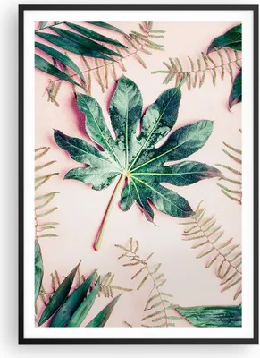 Produktbild von Gerahmtes Poster - Schwarzer Rahmen - Blatt Tropisch Palme - 70x100 cm - Wand Bild - Wanddeko - Wandbilder - Kunstposter - Wandposter - Bilderrahmen - Bilder - Kunstdruck - Wandbild - P2BPA70x100-4314