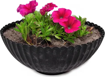 Produktbild von Runde Pflanz-Schale gewellt für draussen schwarz marmoriert 16 cm