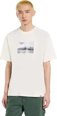Produktbild von Dickies T-shirt DK0A87YMC481 in BEIGE color size x-large