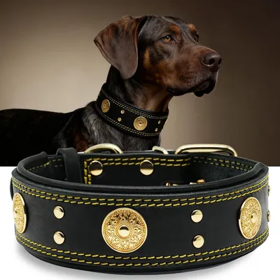 Productafbeelding van Hondenhalsband 5 cm, leer, handgemaakt, zacht, maat M, voor wandelen