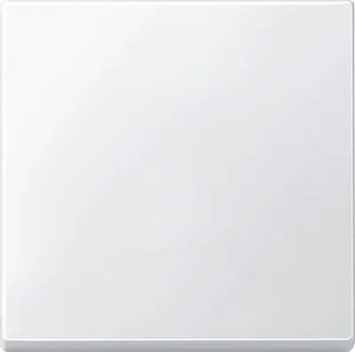 Produktbild von Merten Wippe polarweiß 434119 System M