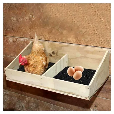 Produktbild von Nestboxeinlagen | Robuste Einstreu | 4 Stück Wiederverwendbare Silikonmatte für Legehennen und Entenküken Brutkasten