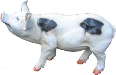 Produktbild von Dekoration Garten Figur Statue Figuren Statuen Deko Neu Skulpturen Schwein 40cm