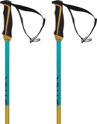 Image de Volkl Phantastick 18mm bâtons Golden 125 cm Golden 125 cm