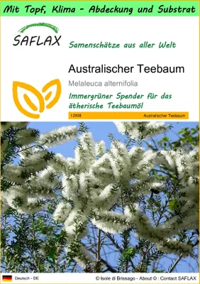 Produktbild von SAFLAX Garden to go - Australischer Teebaum - Melaleuca alternifolia - 400 Samen - Mit Topf, Klima - Deckel und Anzuchtsubstrat