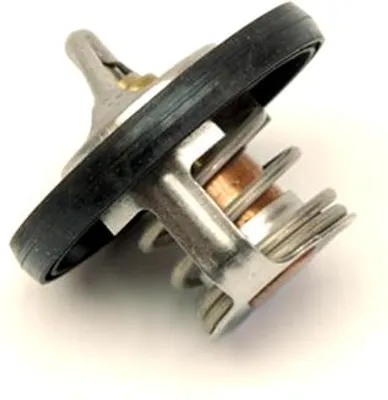 Zdjęcie produktu dla Termostat wody chłodzącej 4,7 l Jeep Grand Cherokee WJ 99-04
