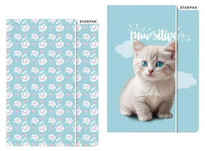 Productafbeelding van Elastische A4 map met Kitty-motief - STARPAK