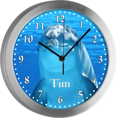 Produktbild von Kinderzimmer Funkwanduhr, Funkuhr Wanduhr Kinder, Delfin 25 cm
