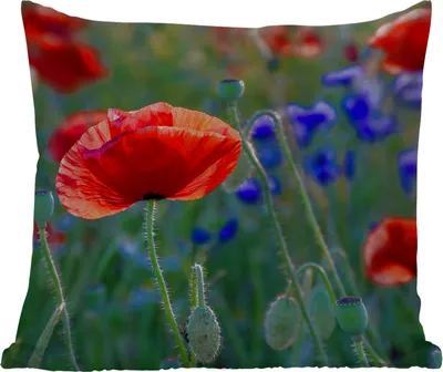 Produktbild von MuchoWow® Outdoor Kissen - Bunte Mohnblumen in den Niederlanden - 40x40 cm - Wetterfest - Lounge Kissen - Kopfkissen - Interieur - Polster mit Bild