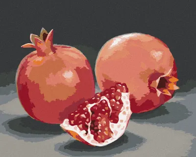 Produktbild von Zuty - Malen nach Zahlen - GRANATAPFEL 3 (MYROSLAVA VOLOSCHUK), 40x50 cm, ohne Keilrahmen