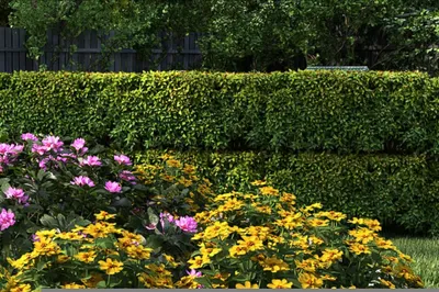 Image de UISEBRT Bordure de jardin flexible argent 5 m x 15 cm, bordure métallique pour pelouse, délimitation gazon, parterre et massif de fleurs