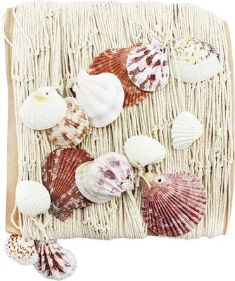 Productafbeelding van Unyqoos® Decoratief visnet met schelpen – maritiem fotonet om op te hangen, wanddecoratie, 100 x 200 cm, garen en schelpen, 1 stuk