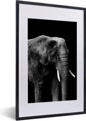 Produktbild von MuchoWow® Gerahmtes Poster Elefant mit vor schwarzem Hintergrund - schwarz und weiß 40x60 cm - Poster mit Schwarzem Bilderrahmen Wandposter Rahmen Foto Bilder - Poster in Rahmen