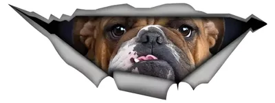 Produktbild von 3D-Aufkleber für Autos im Bulldog-Design – wasserdicht und reflektierend