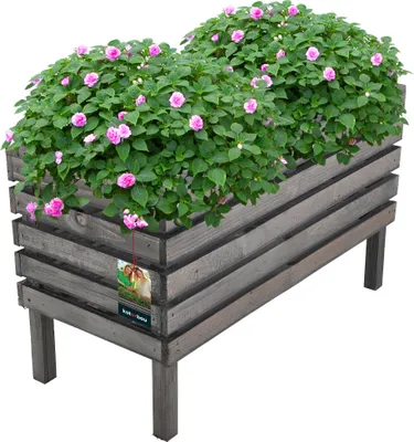 A wooden planter box filled with pink flowers and green foliage, set against a white background.