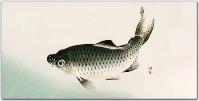 Produktbild von Coloray - Bild aus Glas - Glasbilder - 100 x 50 cm - Dekoration Wohnzimmer Wanddekoration Gehärtetes Glas Küche Glasblock mit Bild - Tiere Fische