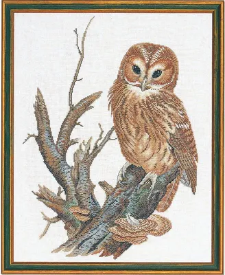 Produktbild von Eva Rosenstand Kreuzstich Set "Waldkauz", Zählmuster, 40x50cm