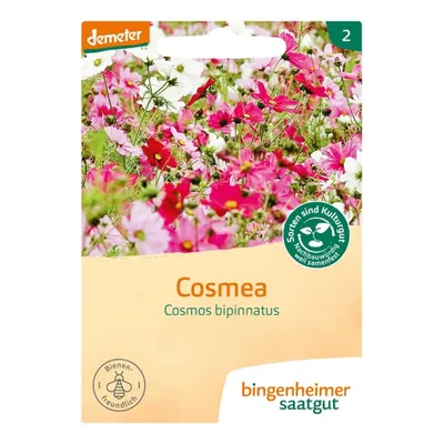 Produktbild von Cosmea - Cosmos bipinnatus 6er Pack