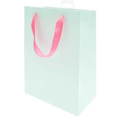 Zdjęcie produktu dla Geschenktüte mint 26 x 32 cm