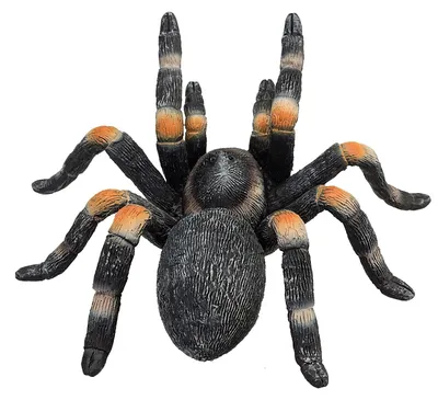 Zdjęcie produktu dla Mojo Fun Red Kneed Tarantula, 3 lat(a), Wildlife, Czarny, Pomarańczowy, Polichlorek winylu (PVC)