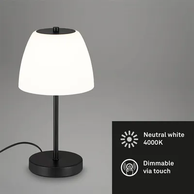 Produktbild von Briloner Tischleuchte LED schwarz 1xLED 5,5W