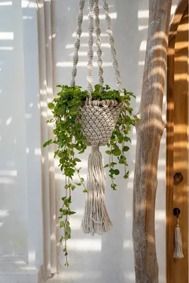 Productafbeelding van Famanu plantenhouder, handgemaakt - natuurlijke witte kleur - 25 cm x 135 cm x 25 cm