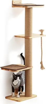 Immagine prodotto di Tiragraffi 50" per gatti grandi con letto per gatti, tiragraffi in legno e gomma per gattini