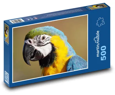 Produktbild von Puzzle 500 Bunter Ara-Papagei - martinpuzzle