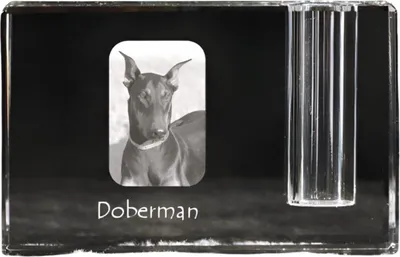 Produktbild von Dobermann - Stifthalter, Kristallorganizer mit Hundefoto, einzigartige Schreibtischdekoration der Marke Art-Dog