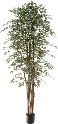 Produktbild von artplants.de Kunst Pflanze Ficus Benjamini ALEJA, Echtstamm, grün-weiß, 210cm - Kunstficus