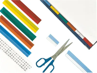 Imagen del producto de Esselte Vollsicht-Reiter, transparent, aus Folie