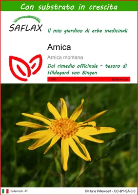 Immagine prodotto di SAFLAX  - Arnica  - 40 semi - Con substrato - Arnica
