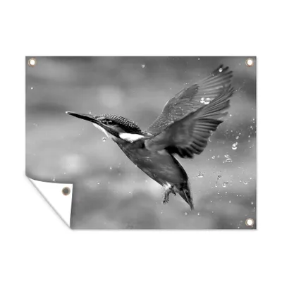 Obrázek produktu pro MuchoWow® Zahradní plakáty - Létající rybák - černobílý - 90x120 cm - Zahradní dekorace