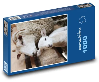 Produktbild von Puzzle 1000 Schafsfamilie auf dem Bauernhof - martinpuzzle