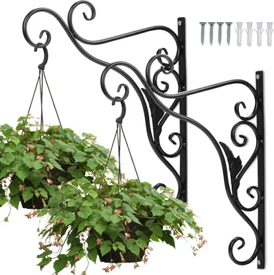 Image de TolleTour Crochets à fleurs 2 crochets muraux Suspension pour fleurs 295 x 360 mm Oiseau Porte-fleurs Support mural Porte-lanterne Porte-plante Suspension pour fleurs