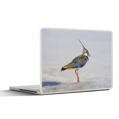 Produktbild von MuchoWow® Laptop Aufkleber Sticker Cover Vogel - Tiere - Sand - Kiebitz 32.5x23.5 cm - Sticker für Laptop - Selbstklebend