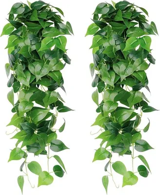 Produktbild von Kunstmatige Hangplanten, 2 Stück, Kunststoff, grün, Wanddekoration, 40 cm