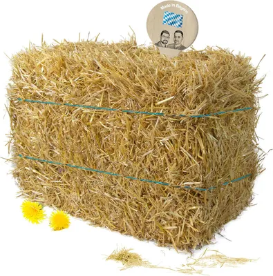 Produktbild von Strohballen für Kaninchen und Meerschweinchen - 10 kg - Einstreu und Dekostroh