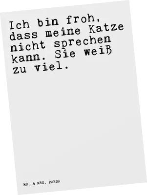 Produktbild von Mr. & Mrs. Panda Grußkarte Ich bin froh, dass... - Weiß - Geschenk, sprechen, Freundin, Postkarte, Fotokarte, Ansichtskarte, Katzen, bildkarte, Sprüche, Herrchen, lustig