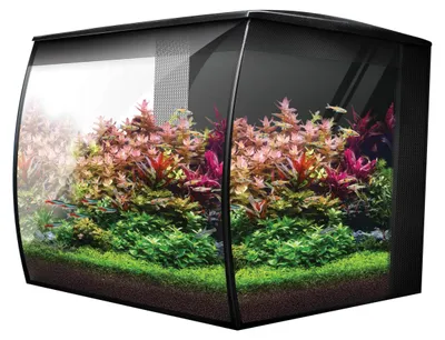 Zdjęcie produktu dla Kompletny zestaw akwarium nano Fluval Flex 2.0 | 34 litry | Z oświetleniem LED i filtrem